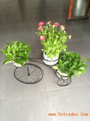 客家園藝 專業室內花木租擺，綠化植物租賃首選